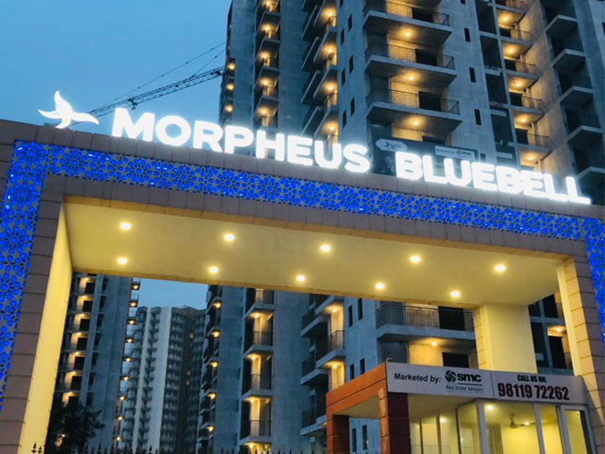Morpheus Bluebell 